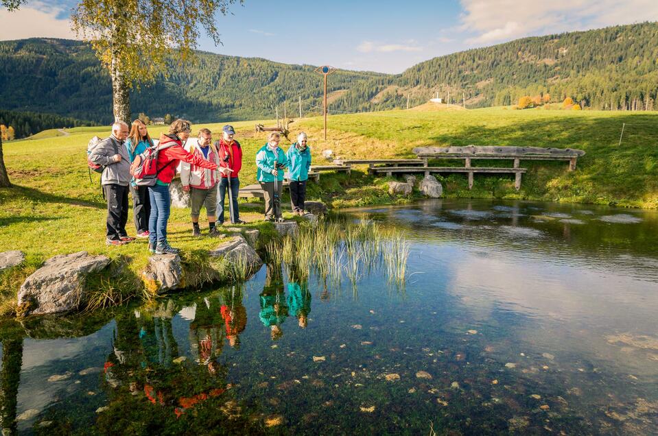 Nature reading hike through the Zirbitzkogel-Grebenzen Nature Park - Impression #1 | © Naturpark Zirbitzkogel-Grebenzen