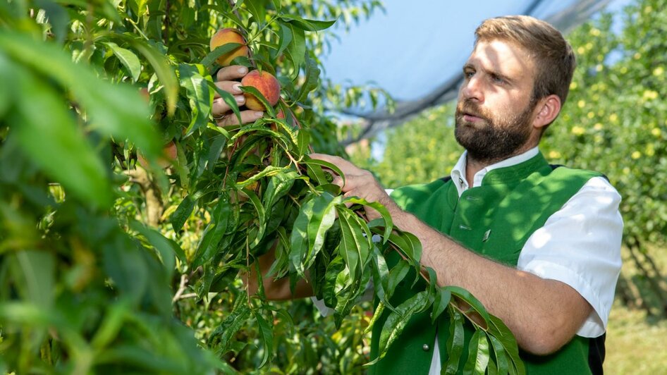 Obstbau Boden | © GlaMUR – Genuss am Fluss, Ulrike Korntheuer