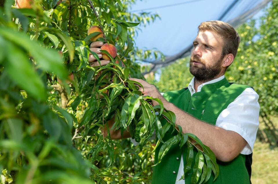 Obstbau Boden - Impression #1 | © GlaMUR – Genuss am Fluss, Ulrike Korntheuer