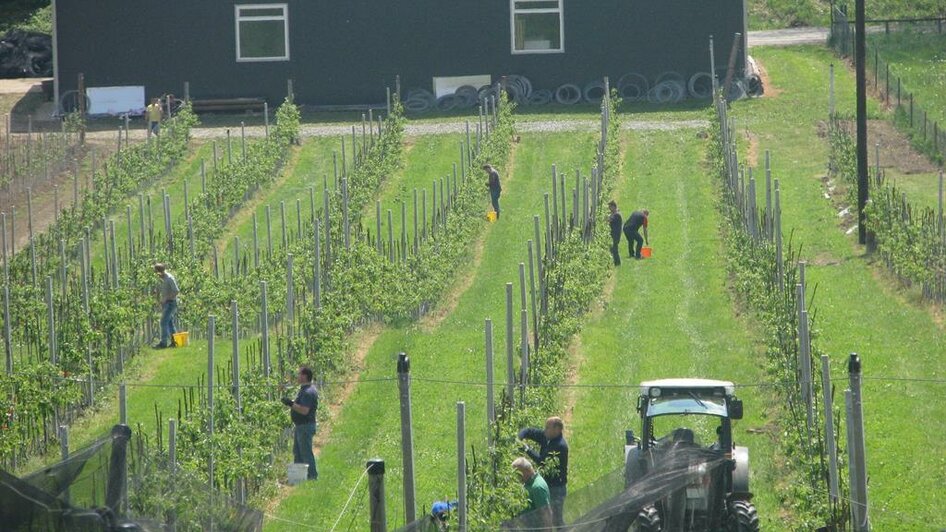 Bauernladen Obsthof Glück | © Glück