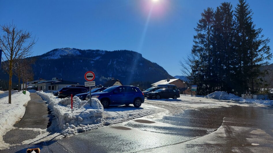 P 5 (1) | © TV Hochsteiermark / Brigitte Digruber