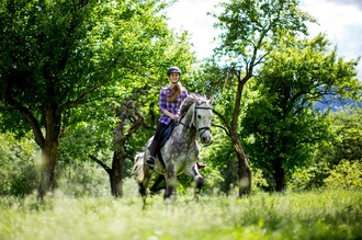 Reiten | © ikarus.cc