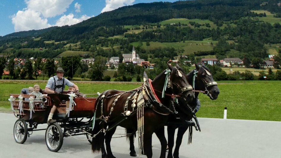 Pferdekutschenfahrt | © Norikerzucht Putzenbacher