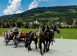 Pferdekutschenfahrt | © Norikerzucht Putzenbacher