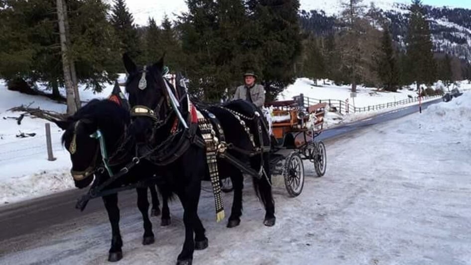 Pferdeschlittenfahrt | © Norikerzucht Putzenbacher