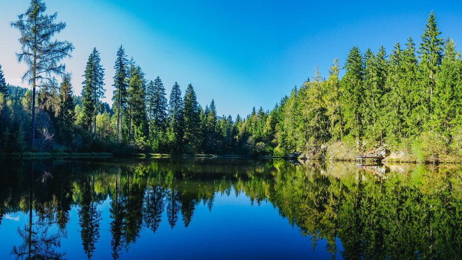 Podolerteich | © Naturpark Zirbitzkogel-Grebenzen, Mediadome