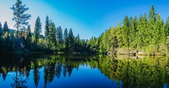 Podolerteich | © Naturpark Zirbitzkogel-Grebenzen, Mediadome