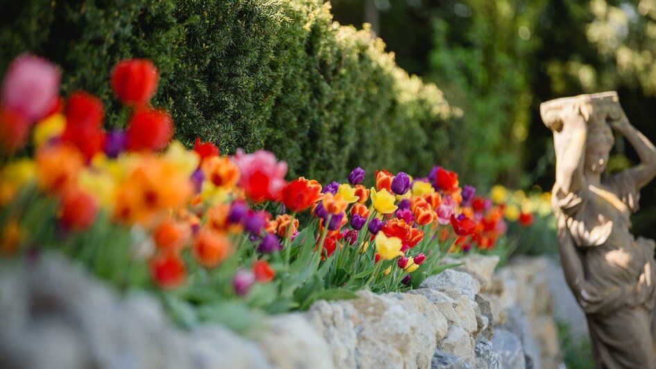 Polz Garten Tulpen | © Karin Bergmann