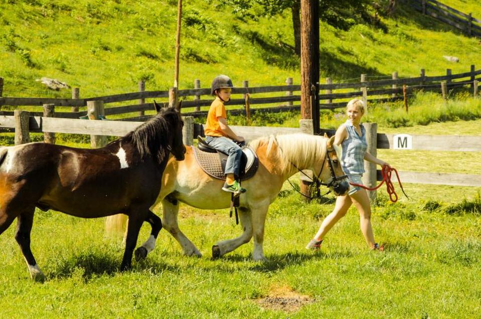 Riding at the Zechnerhof - Impression #1