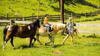 Reiten am Zechnerhof