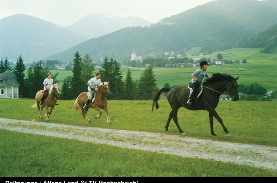 Reitstall und Reitschule Holzer - Impression #1