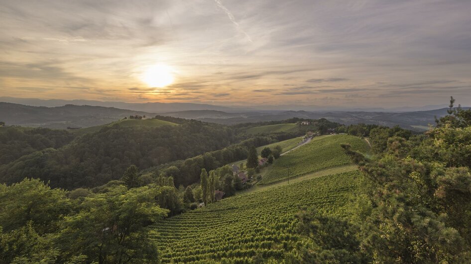 Aussicht Weingut Harkamp | © Hannes Harkamp