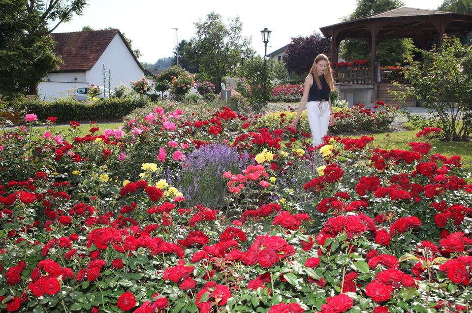 Rosarium in St. Stefan im Rosental - Impression #1 | © Suppan-Film