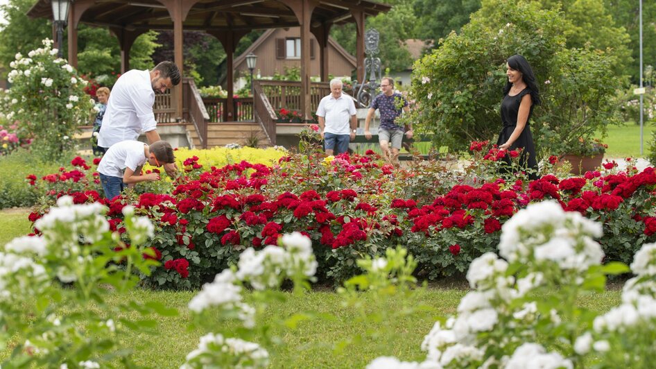 Rosarium in St. Stefan im Rosental | © Foto Lienhardt