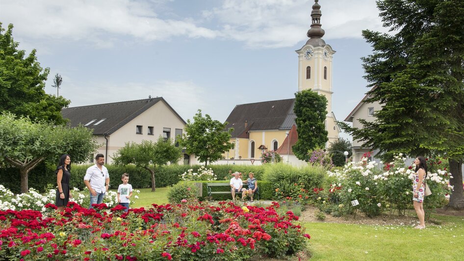 Rosarium in St. Stefan im Rosental | © Foto Lienhardt