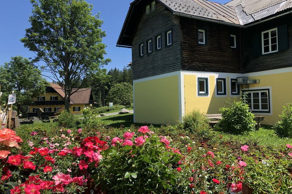 Rosen.Blüten.Genuss auf der Koralm - Rosarium Glashütten - Impression #1 | © TV Sulmtal Koralm