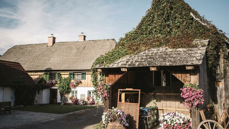 Am Schermerhof in Hall | © Stefan Leitner