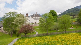 Schloss Feistritz | © Rene Hochegger