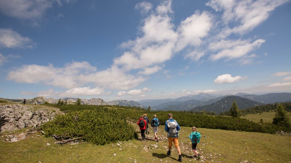 Wanderparadies Bürgeralm