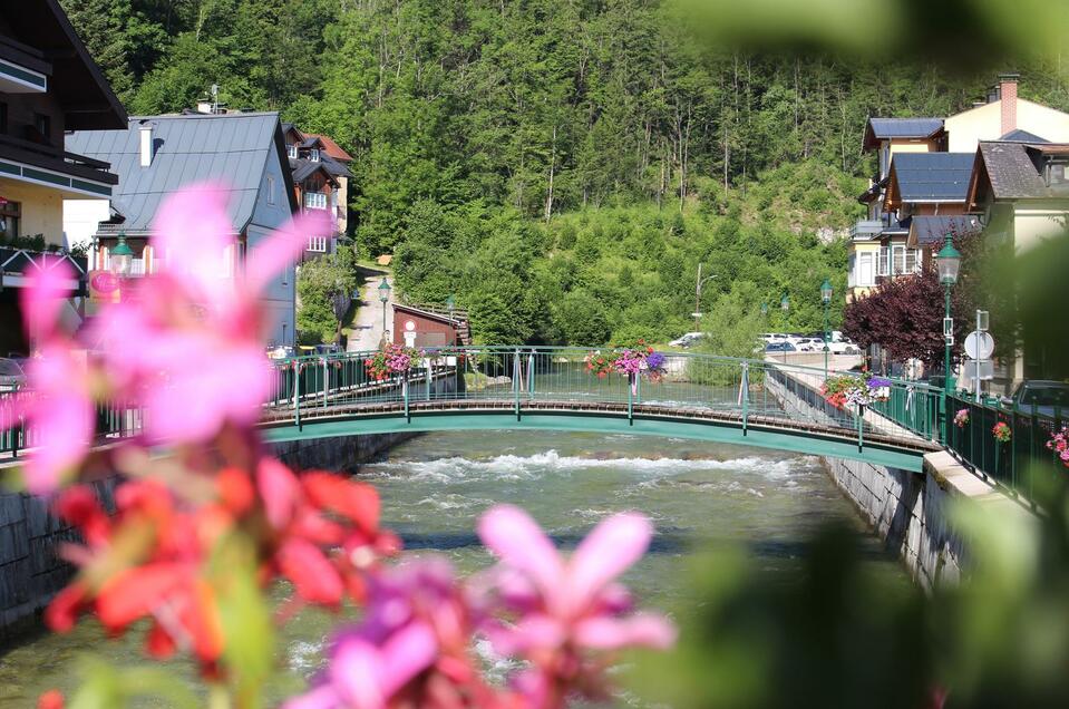 Stefanie Brandauer Fotografie - Impression #1 | © TVB Ausseerland Salzkammergut - Lechner Viola