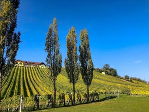 Herbst in Klöch