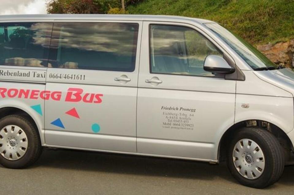 Taxi Pronegg - Impression #1