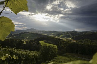 Thermenland Weinstraße bei Fehring