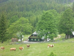 Trahütter Hütte | © Trahütter Hütte