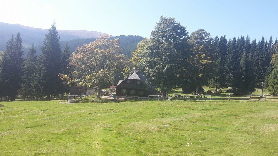 Almwiese | © Trahütter Hütte