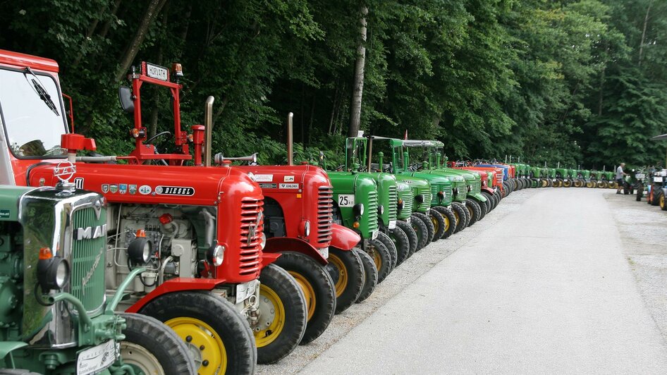 in Reih und Glied, bereit für die Ausfahrt | © Gerhard Langmann