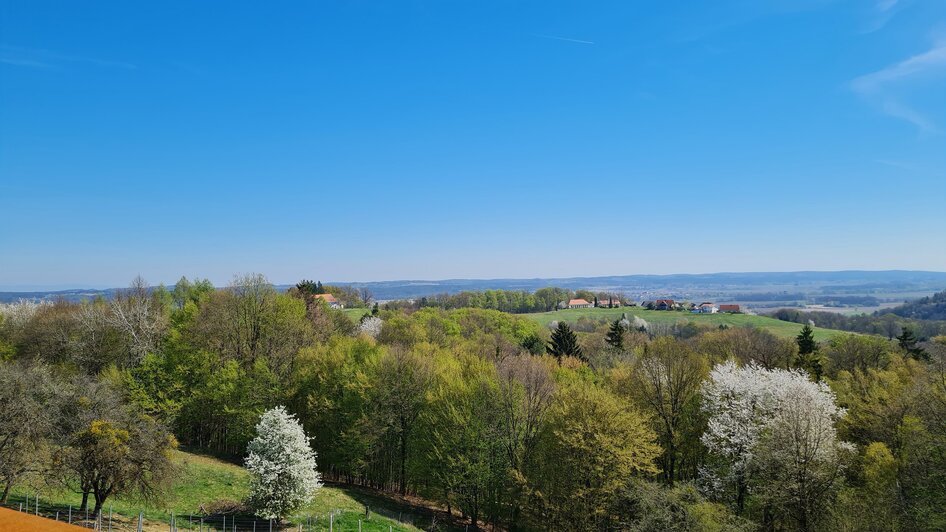 Blick von der Vinothek | © Johann Gollowitsch