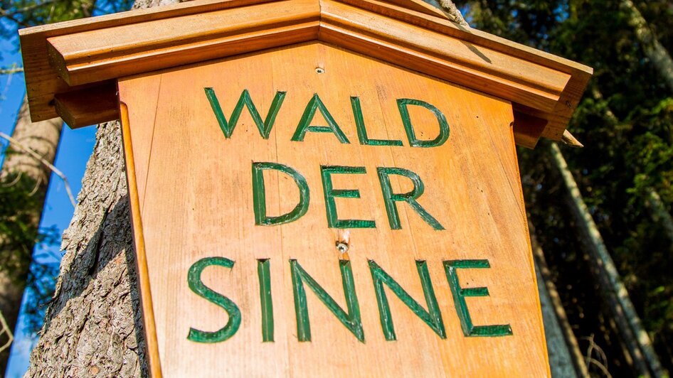 Wald der Sinne | © Wald der Sinne