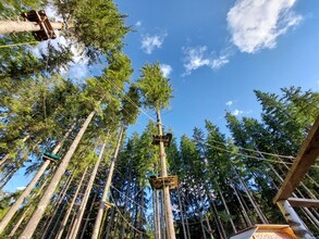 Hoch hinaus im Waldseilgarten Erlaufsee | © TV Hochsteiermark | Brigitte Digruber