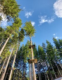 Hoch hinaus im Waldseilgarten Erlaufsee | © TV Hochsteiermark | Brigitte Digruber | © TV Hochsteiermark | Brigitte Digruber