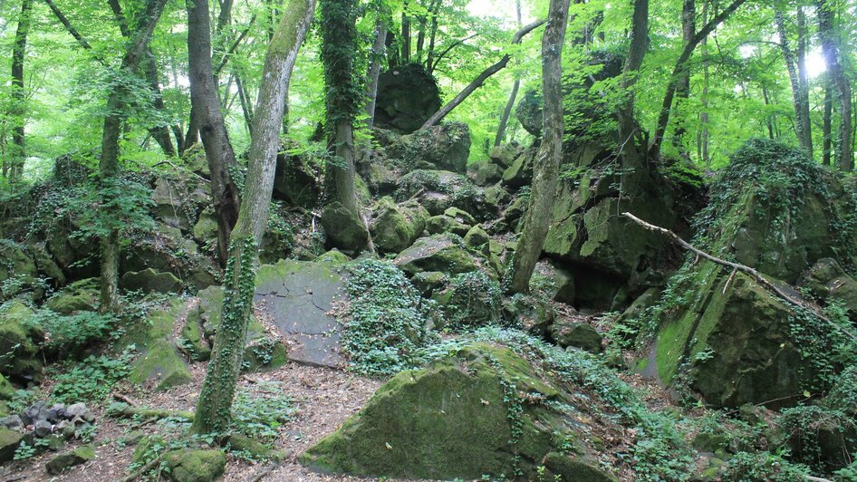 Waltrafelsen in Sankt Anna am Aigen | © Andrea Pock