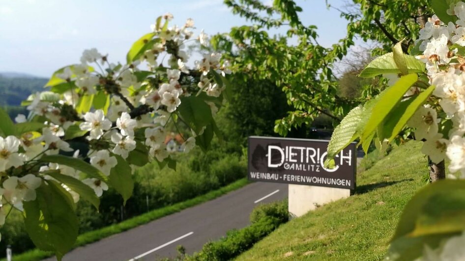 Dietrich4 | © Dietrich