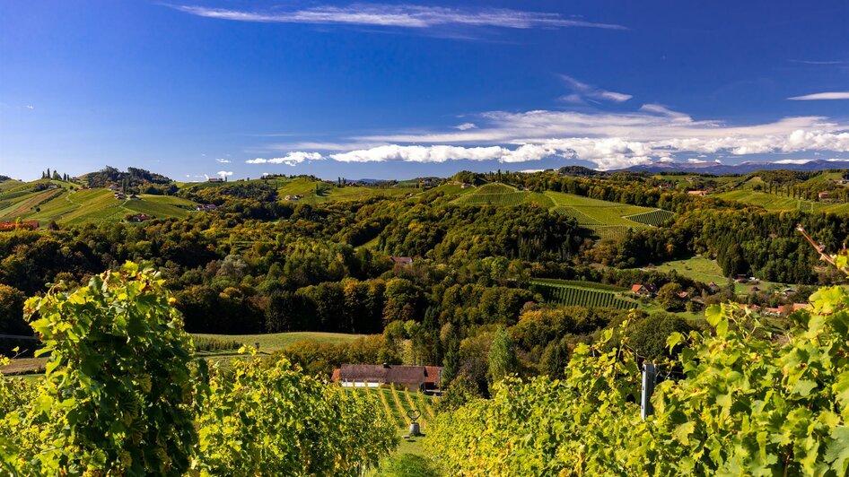 Gamlitz Aussicht Weinberge | © Harry Schiffer, TV Gamlitz