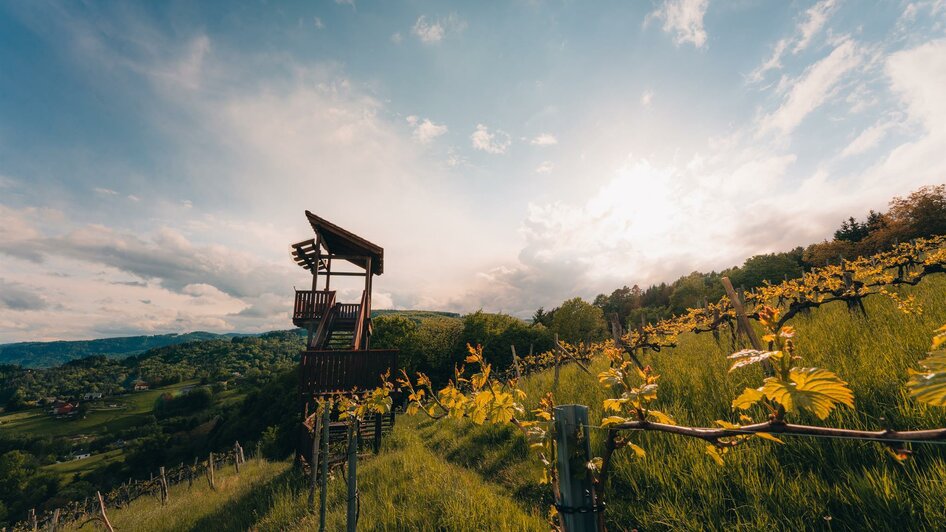 Weinbergwarte in Bad Gams | © Schilcherland Steiermark