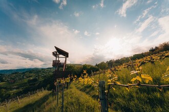 Weinbergwarte in Bad Gams | © Schilcherland Steiermark