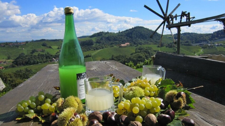 Adam Schererkogl Weingut | © Weingut Schererkogl