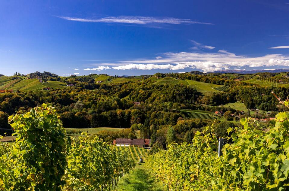 Weingut Anton Schantl - Impression #1 | © Harry Schiffer, TV Gamlitz