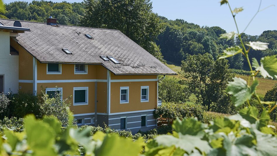 Buschenschank Pfeifer - Fredis Kellerstub'n | © Edgar Strasser