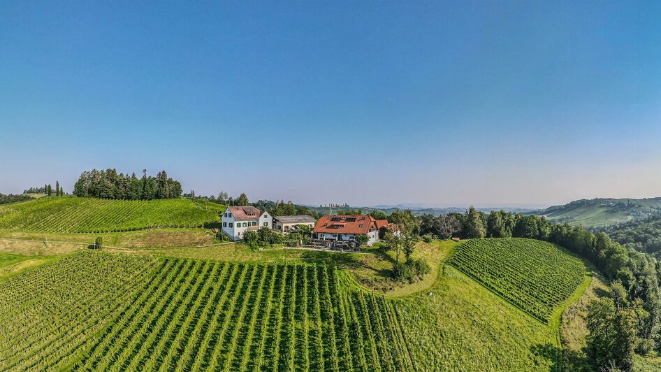 Weingut Hack-Gebell Weingarten | © Hack Gebell