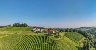 Weingut Hack-Gebell Weingarten | © Hack Gebell