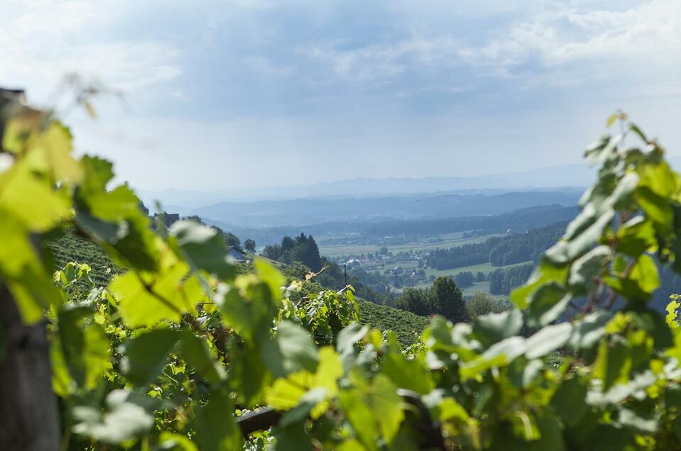 Weingut Koller Manuel - Impression #1 | © Fam. Koller