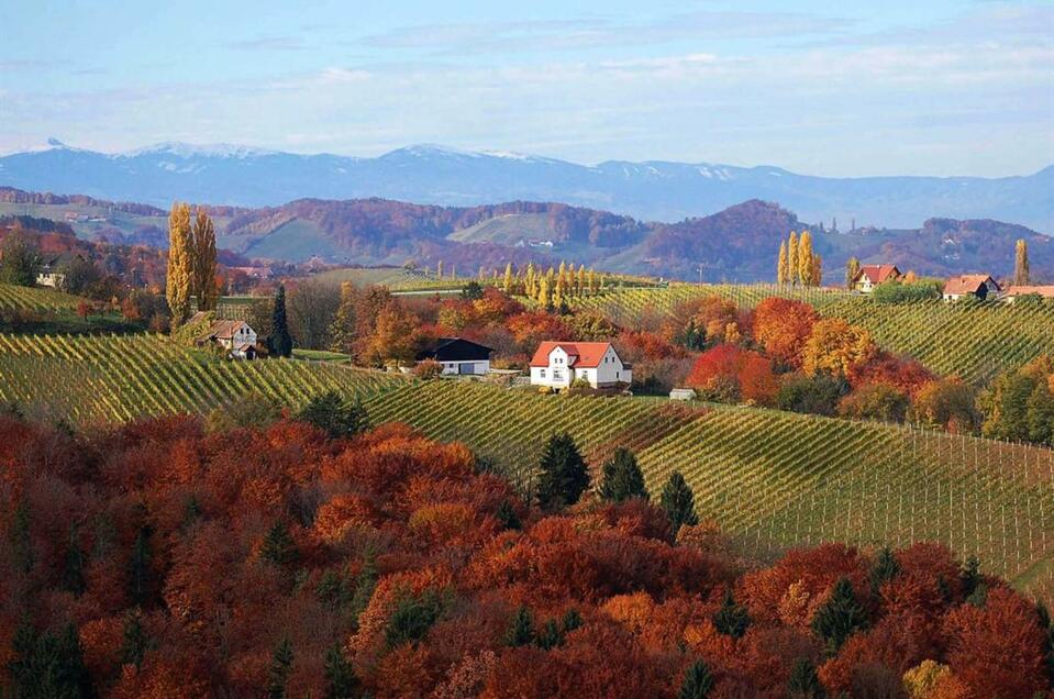 Weingut Ludwigshof Familie Zierer - Impression #1 | © Zierer