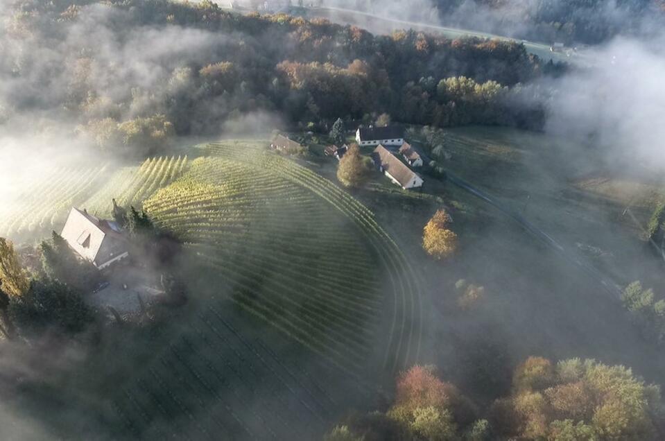 Weingut Melcher Sernauberg - Impression #1 | © Weingut Melcher