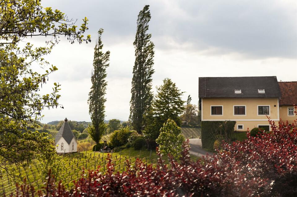 Weingut MUSTER.gamlitz - Impression #1 | © Muster