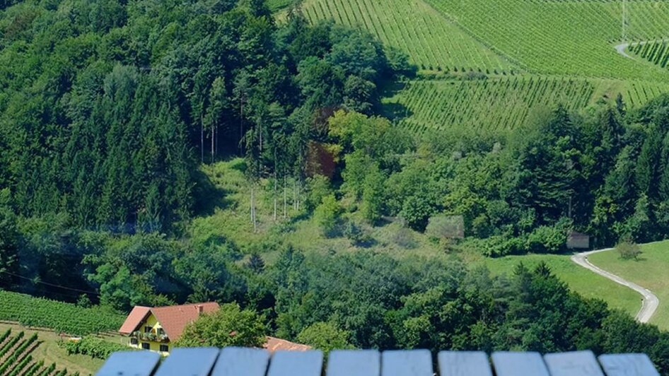 Buschenschank Nekrep Weinberge | © Nekrep