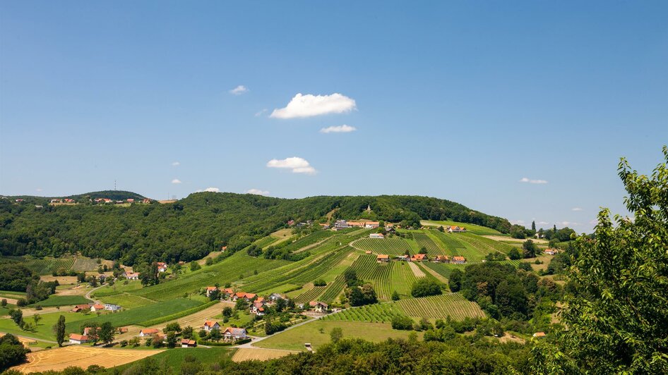 Weingut Pfeifer | © Uli Korntheuer